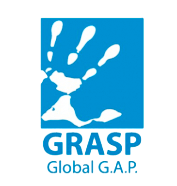 grasp